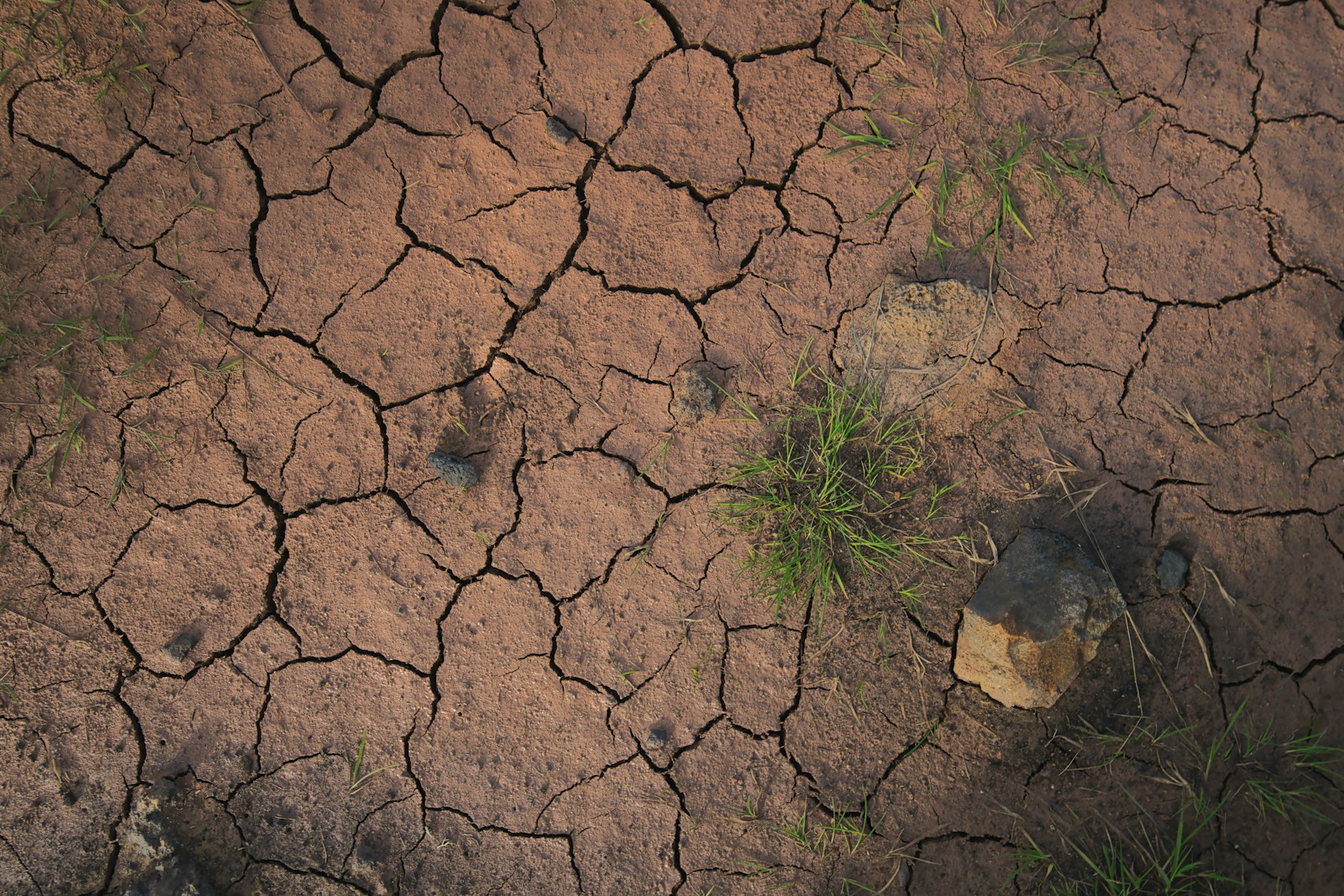 Cracked dry earth showing drought conditions